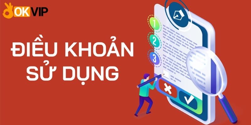 Các quy định chính trong điều khoản mà bạn cần biết