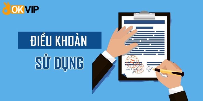 Tổng quan các thông tin hữu ích về điều khoản sử dụng